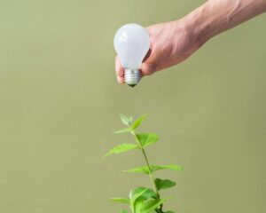 duurzame energie