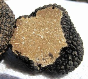 Magic truffels